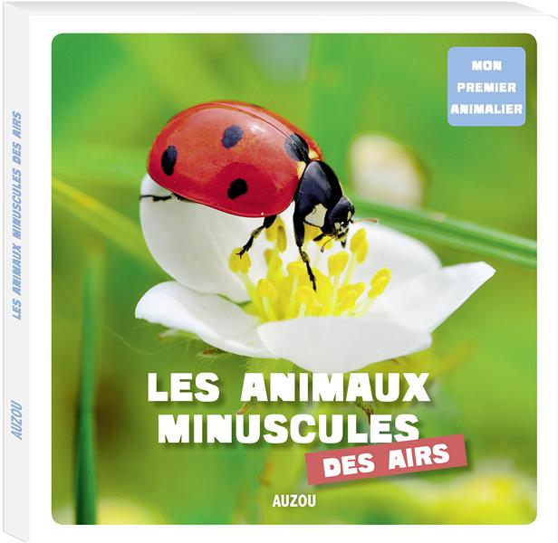 Les animaux minuscules des airs