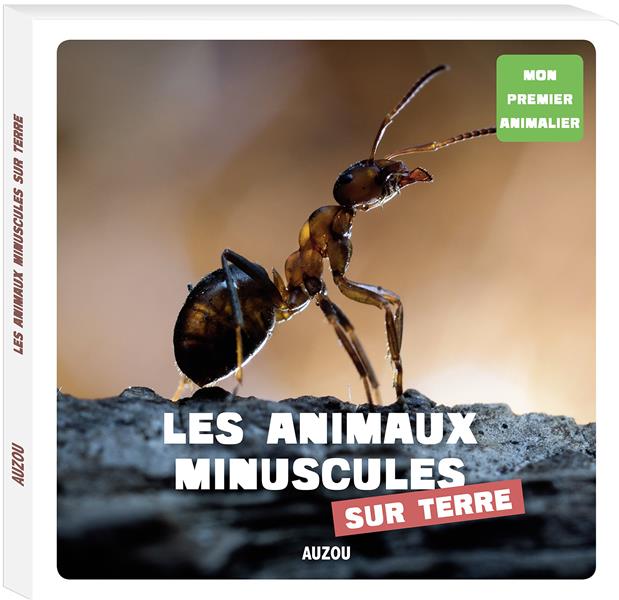 Les animaux minuscules sur terre