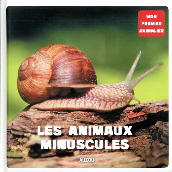 Les animaux minuscules