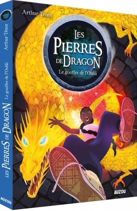 Les pierres de dragon Tome 2 : le gouffre de l'oubli