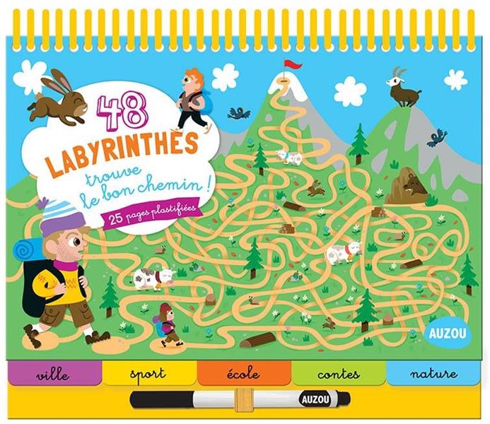 48 labyrinthes : trouve le bon chemin !