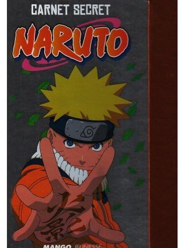 Naruto : le carnet secret du ninja