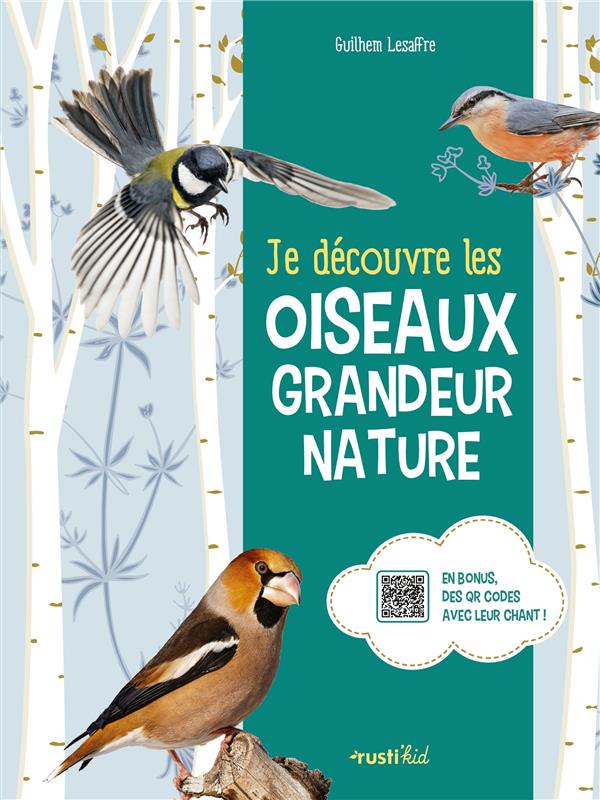 Je découvre les oiseaux grandeur nature