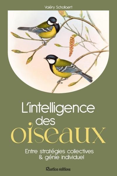 L'intelligence des oiseaux : Entre stratégies collectives & génie individuel