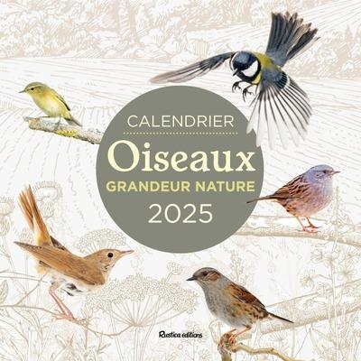 Calendrier oiseaux grandeur nature (édition 2025)