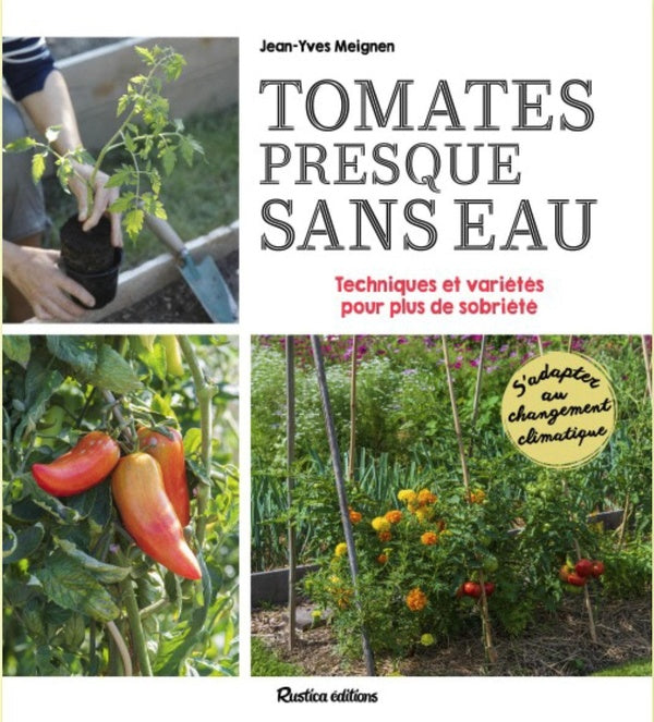 Des tomates presque sans eau