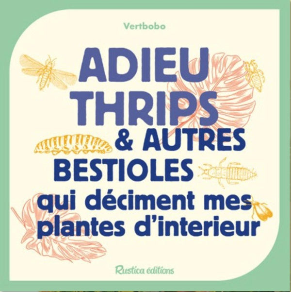 Adieu cochenilles et autres bestioles qui deciment mes plantes d'interieur