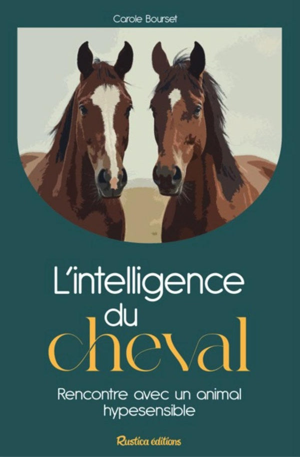 Le cheval - rencontre avec un animal hypersensible