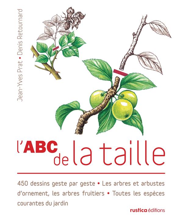 L'ABC de la taille