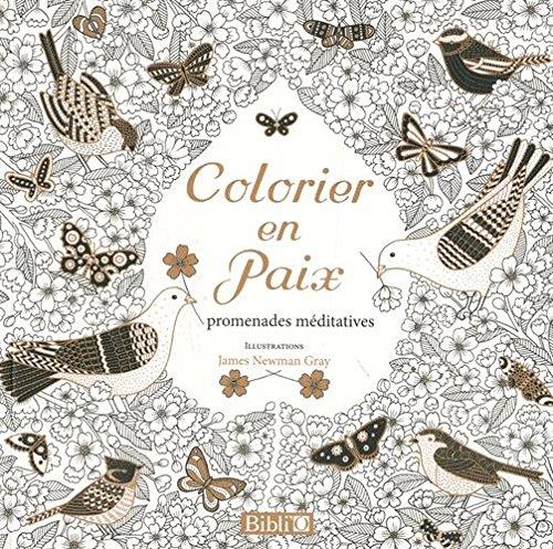 Colorier en paix ; promenades méditatives