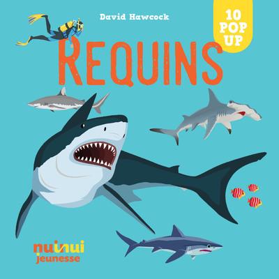 Saisissants pop-up : requins