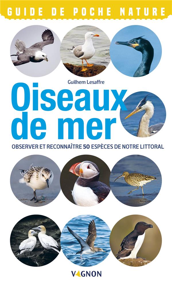 Oiseaux de bord de mer ; observer et reconnaître 50 espèces de notre littoral