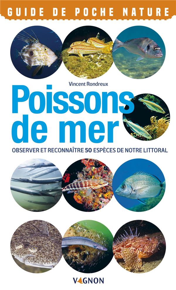 Poissons de mer ; observer et reconnaître 50 espèces de notre littoral