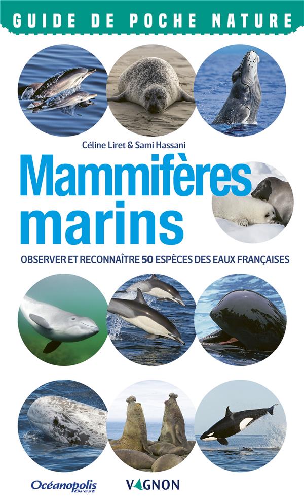 Mammifères marins ; observer et reconnaître 50 espèces des eaux françaises