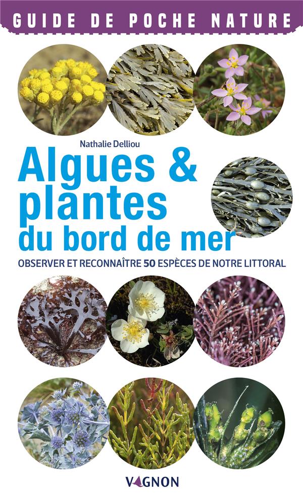 Algues & plantes du bord de mer ; observer et reconnaître 50 espèces de notre littoral