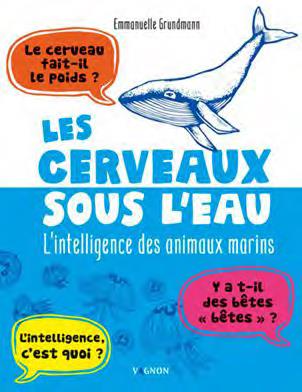 Les cerveaux sous l'eau : l'intelligence des animaux marins