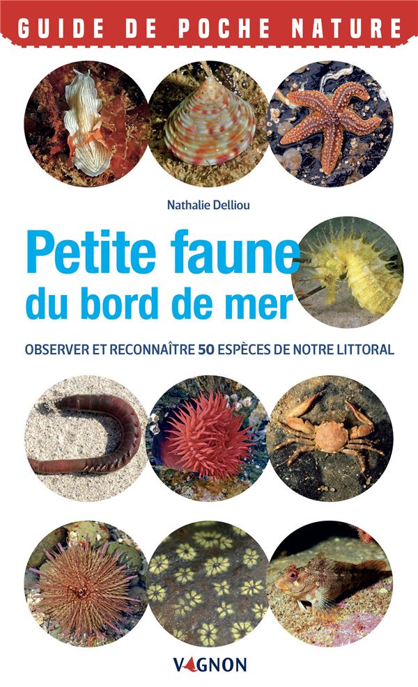 Petite faune du bord de mer : observer et reconnaitre 50 espèces de notre littoral