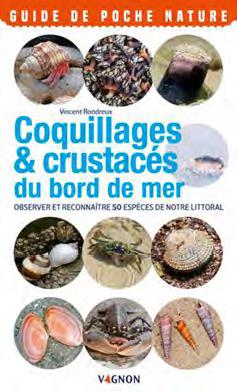 Coquillages & crustaces du bord de mer ; observer et reconnaitre 50 espèces de notre littoral