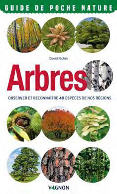 Arbres ; observer et reconnaitre 40 espèces de nos régions