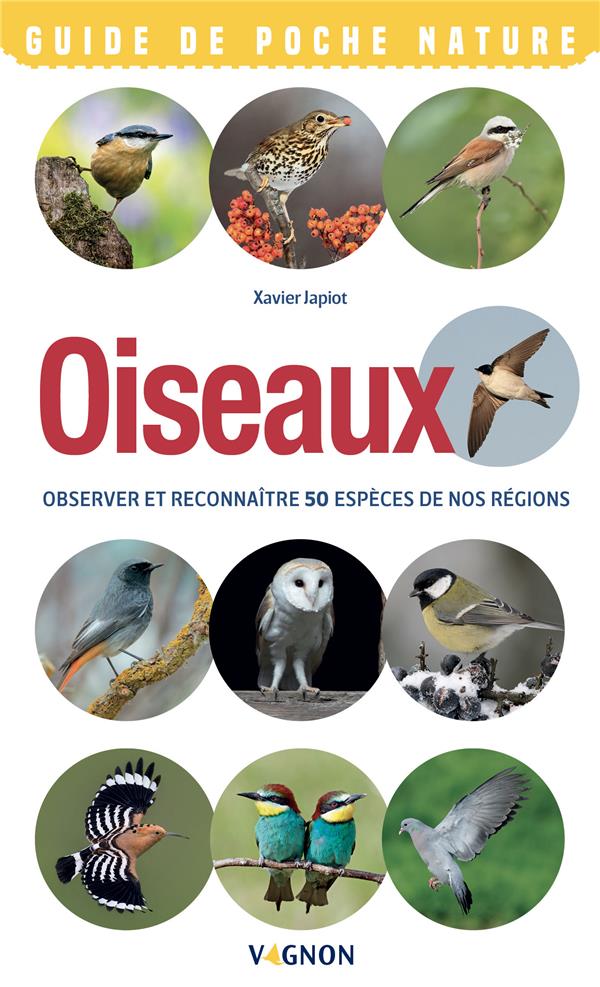 Oiseaux : observer et reconnaitre 50 espèces de nos régions