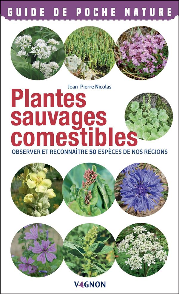 Plantes sauvages comestibles : observer et reconnaitre 50 espèces de nos régions