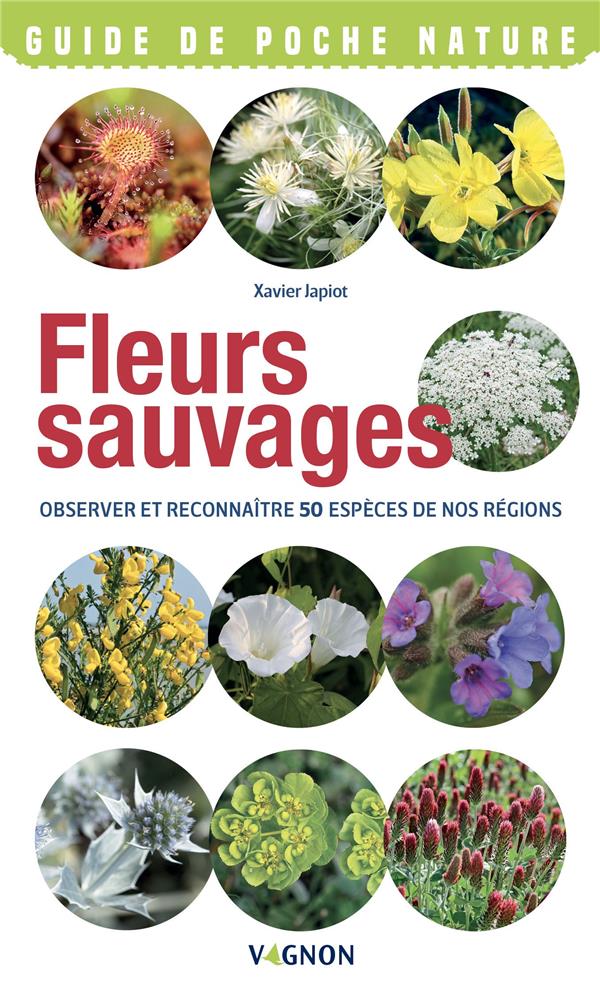 Fleurs sauvages : observer et reconnaitres 50 espèces de nos régions