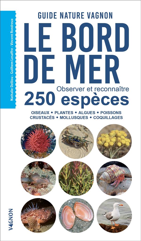 Guide nature : le bord de mer : observer et reconnaître 250 espèces