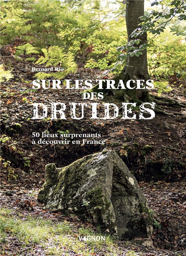 Sur les traces des druides : 50 lieux surprenants à découvrir en France