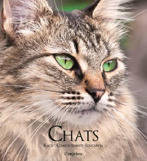 Chats ; races, comportements, éducation