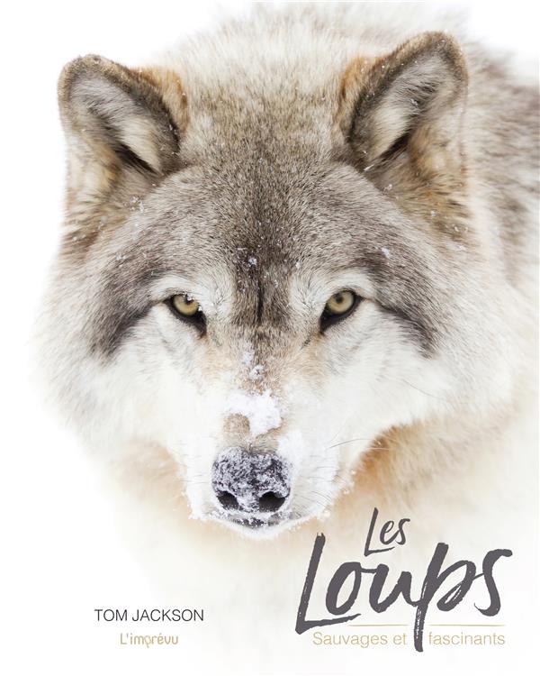 Les loups ; sauvages et fascinants