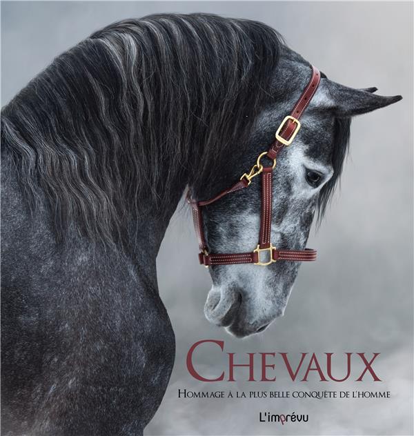 Chevaux ; hommage à la plus belle conquête de l'homme