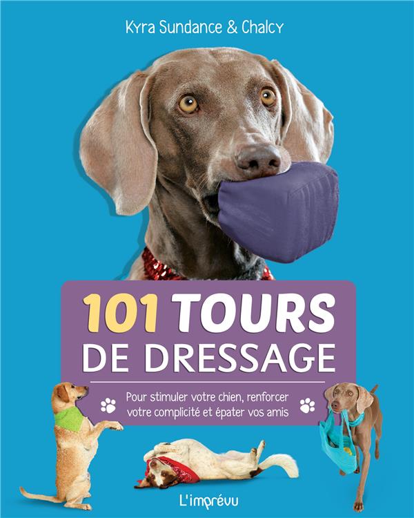 101 tours de dressage ; pour stimuler votre chien, renforcer votre complicité et épater vos amis