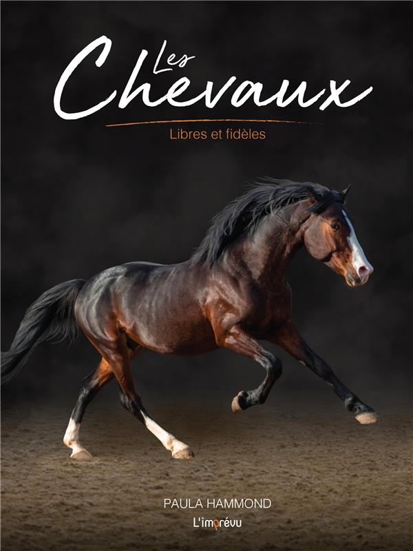 Les chevaux ; libres et fidèles