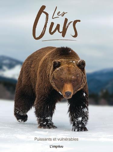 Les ours ; puissants et vulnérables