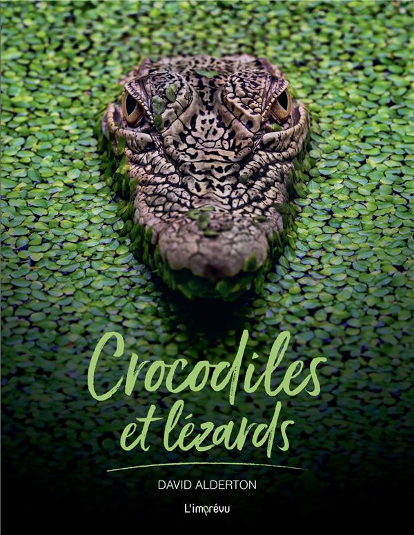 Crocodiles et lézards