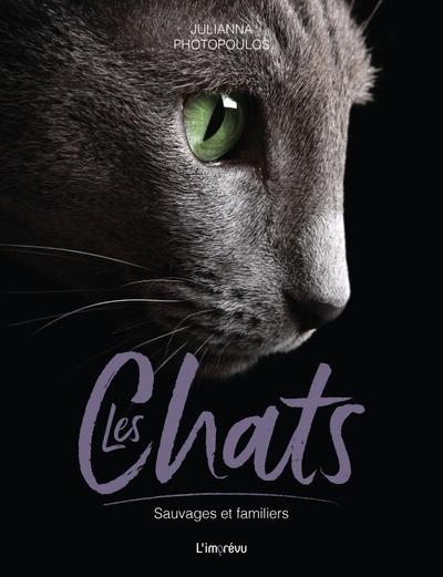 Les chats : Sauvages et familiers