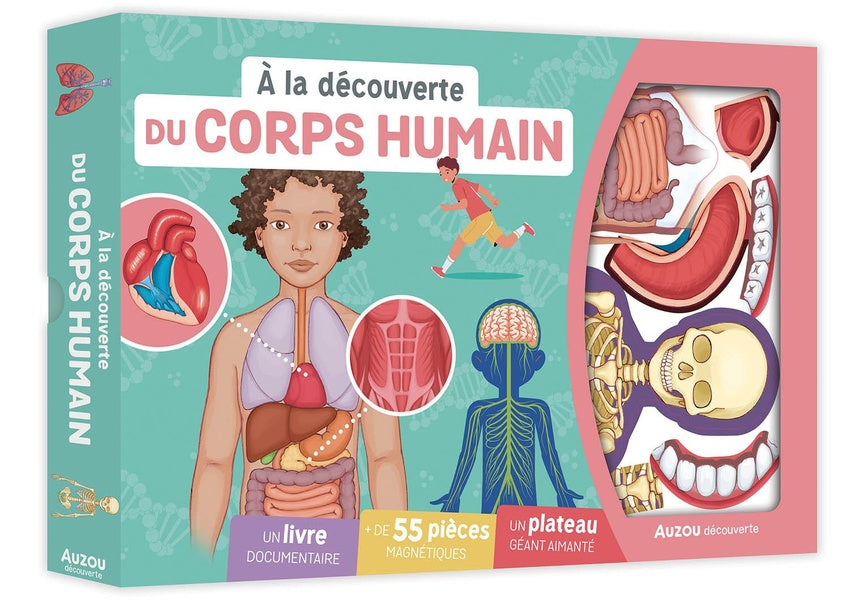 Du corps humain