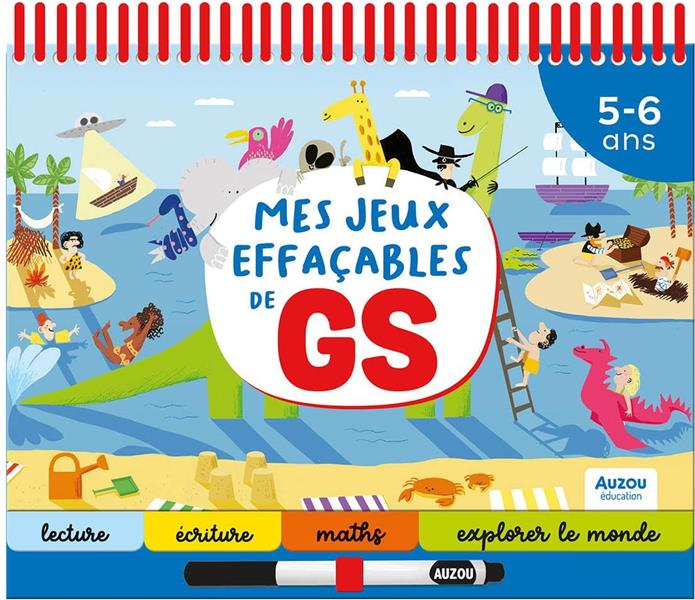 Mes jeux effaçables de GS