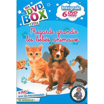 REGARDE GRANDIR LES BEBES ANIMAUX (6dvd)