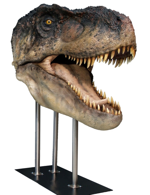 Dinosaures - Tête taille réelle T-Rex gueule ouverte (Base incluse)