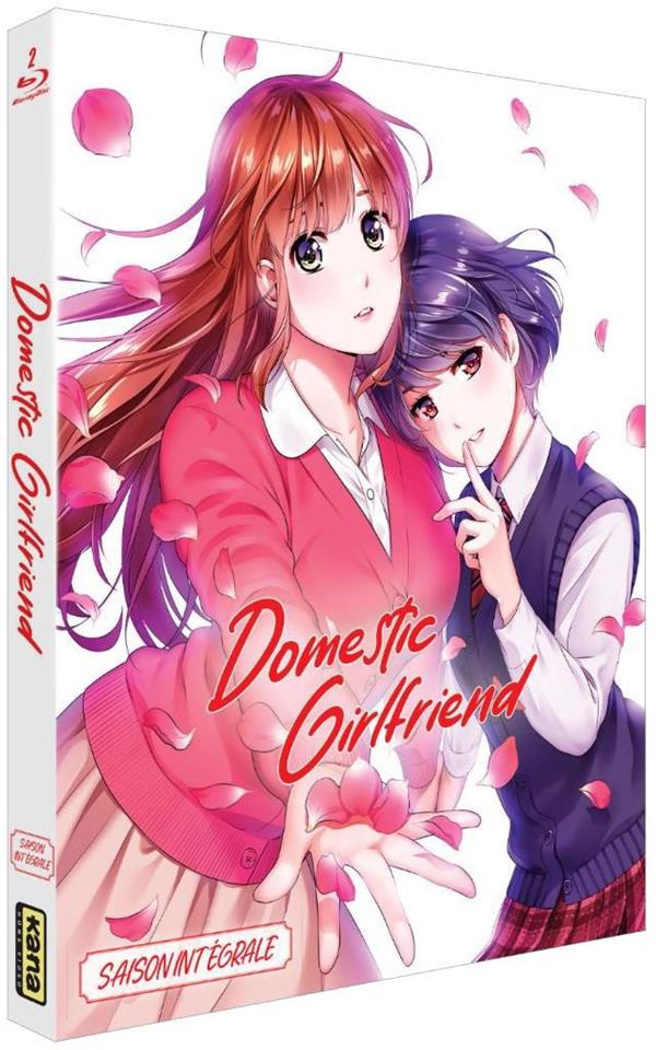 Domestic Girlfriend - Love X Dilemma - Saison intégrale [Blu-ray]