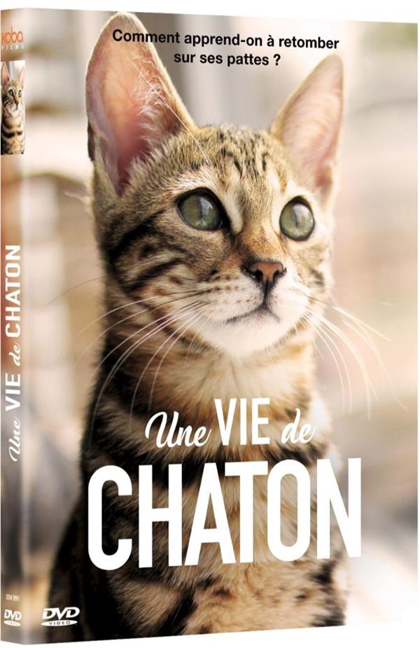 Une vie de chaton [DVD]