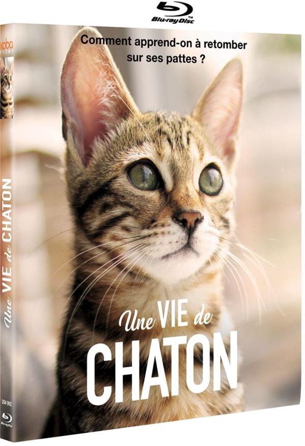 Une vie de chaton [Blu-ray]