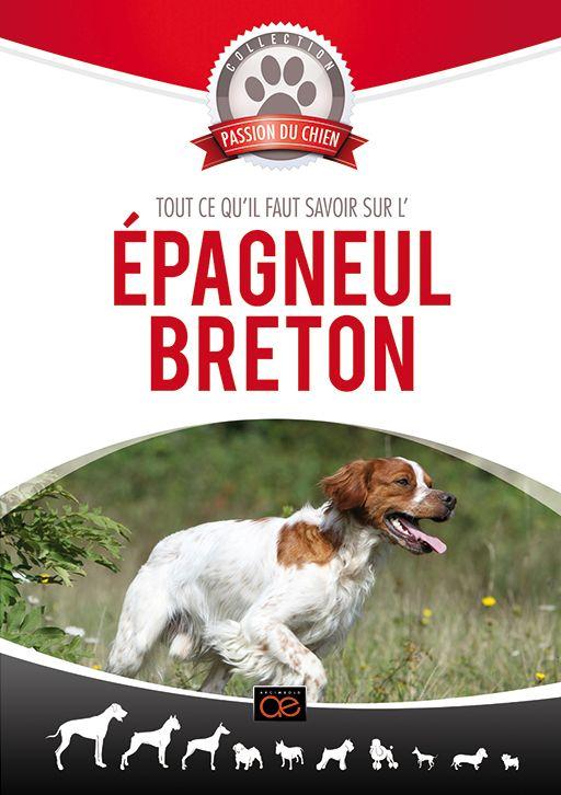 L'Epagneul Breton [DVD]