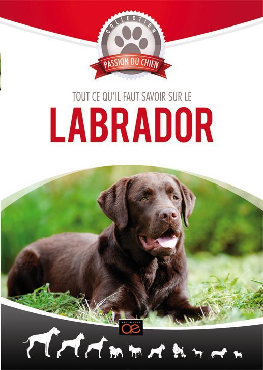 Le Labrador Retriever [DVD]