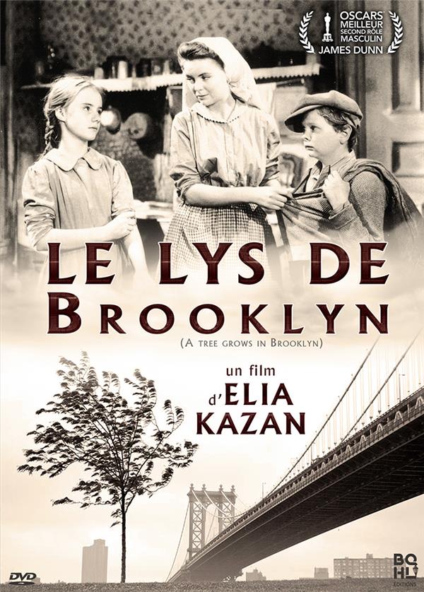 Le Lys De Brooklyn [DVD]