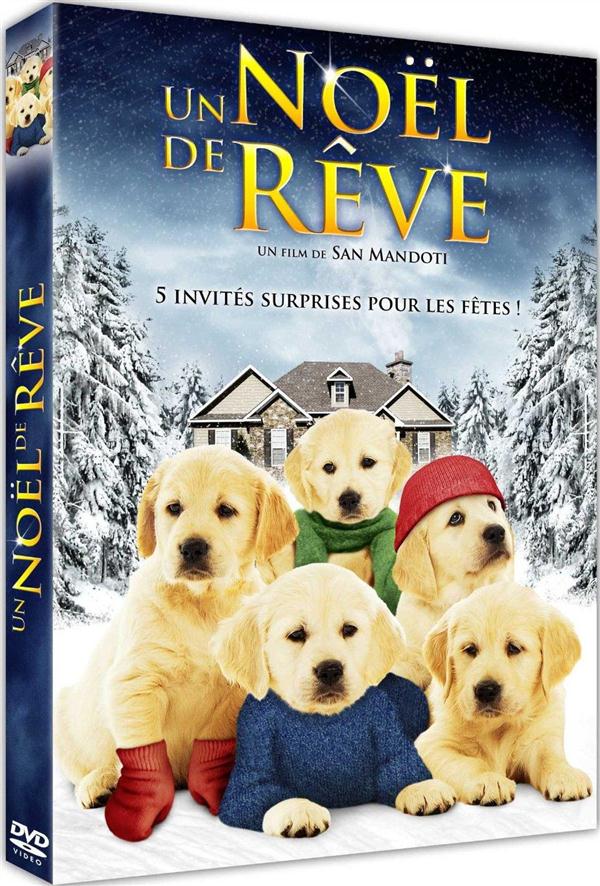 Un Noël De Rêve [DVD]