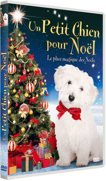 Un Petit Chien Pour Le Village De Noël [DVD]