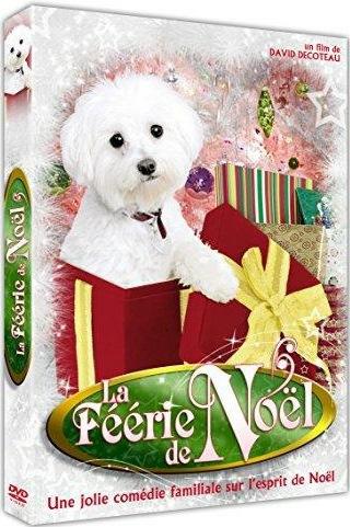 La Féerie De Noël [DVD]