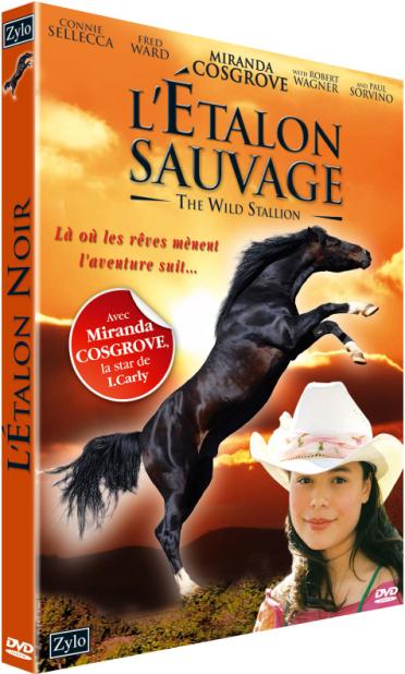 L'Étalon sauvage [DVD]